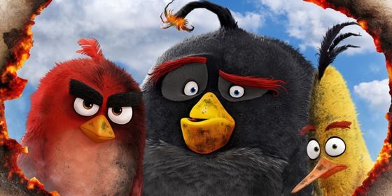 Angry Birds   -  - Yansk.ru