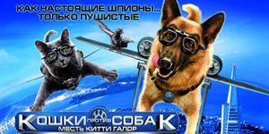   :    / Cats & Dogs: The Revenge of Kitty Galore -  - Yansk.ru