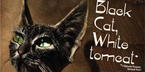  ,   / Black Cat, White Tomcat -  - Yansk.ru