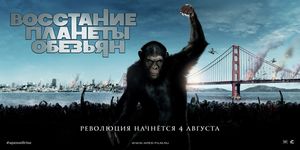    / Rise of the Planet of the Apes -  - Yansk.ru