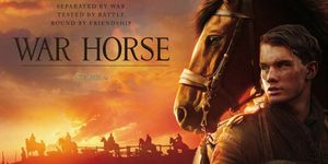   / War Horse -  - Yansk.ru