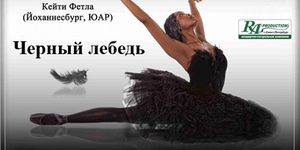  ׸  / Black Swan -  - Yansk.ru