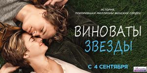   / The Fault in Our Stars -  - Yansk.ru