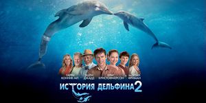 c  2 / Dolphin Tale 2 -  - Yansk.ru