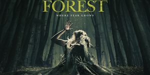   / The Forest -  - Yansk.ru