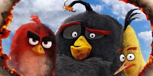 Angry Birds   / The Angry Birds Movie -  - Yansk.ru