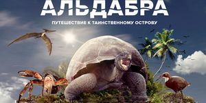 .     / Aldabra: Once Upon an Island -  - Yansk.ru