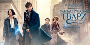       / Fantastic Beasts and Where to Find Them -  - Yansk.ru