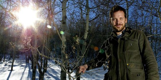 ��������� ����� - ������ - Yansk.ru