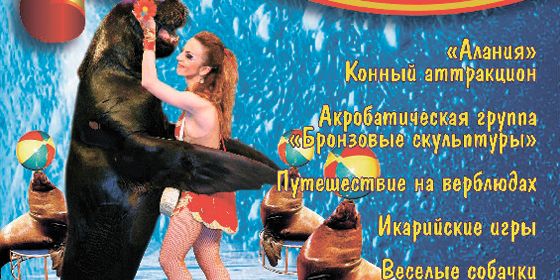 ���� ����� - ������ - Yansk.ru