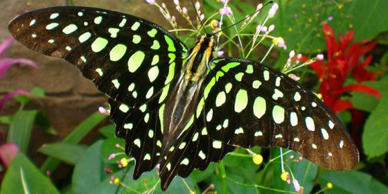 ���������� ������� - ������ - Yansk.ru