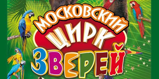 ���������� ���� ������ - ������ - Yansk.ru