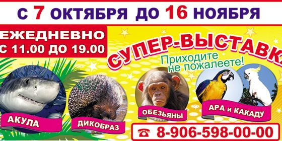 �����-�������� - ������ - Yansk.ru