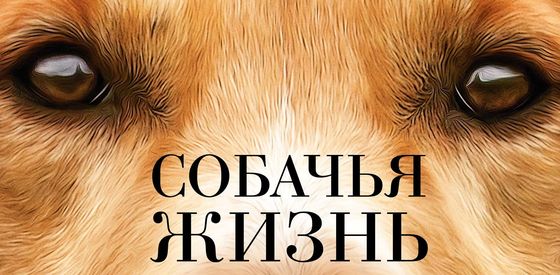 ������� ����� - ������ - Yansk.ru