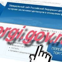 Три года исполнилось государственному порталу www.torgi.gov.ru - Брянск - Yansk.ru