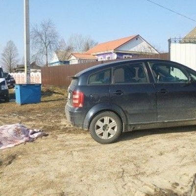 В Брянской области женщина погибла под колесами собственного автомобиля - Брянск - Yansk.ru