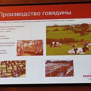 Мираторг инвестирует в Брянскую область 1,5 млрд рублей - Брянск - Yansk.ru