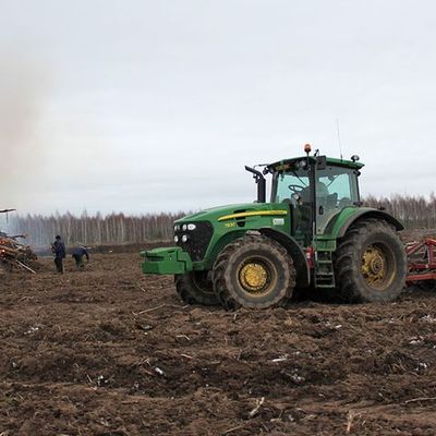 В Брянской области пустуют 240 гектаров земель - Брянск - Yansk.ru