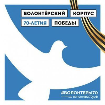 К 70-летию Великой Победы в Брянской области появится волонтерский корпус - Брянск - Yansk.ru
