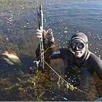 Брянцы установили абсолютный рекорд соревнований по подводной охоте - Брянск - Yansk.ru