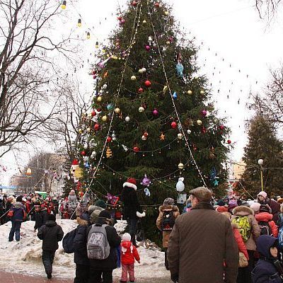 В Брянске установили главную елку города - Брянск - Yansk.ru