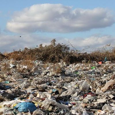В Брянской области активисты ОНФ обнаружили проблемы с утилизацией мусора - Брянск - Yansk.ru