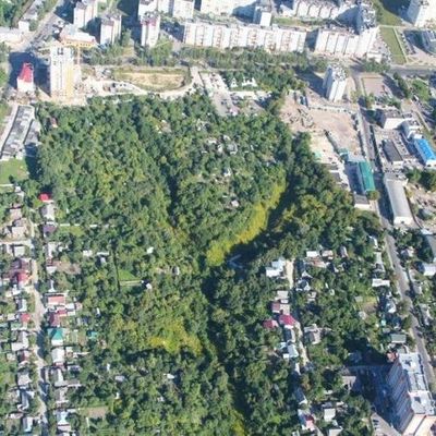 В течение Года экологии в Брянске будут решать проблемы Верхнего и Нижнего Судков - Брянск - Yansk.ru