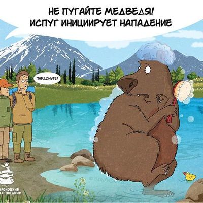 На Камчатке выпустят красочный буклет о правилах поведения при встрече с медведем - Брянск - Yansk.ru