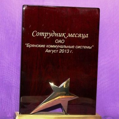 «Золотую» награду получит один из семи кандидатов «Брянских КС» - Брянск - Yansk.ru