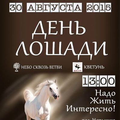 День Лошади на Конном подворье - Брянск - Yansk.ru