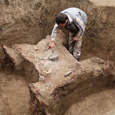 В Ставрополье впервые в России найдена колесница возрастом 4 тысячи лет - Брянск - Yansk.ru