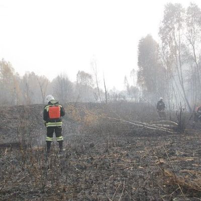 В Брянской области введен режим чрезвычайной ситуации - Брянск - Yansk.ru