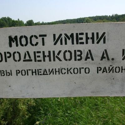 2 деревни в Рогнединском районе остаются отрезанными от внешнего мира из-за бездействия местных властей - Брянск - Yansk.ru