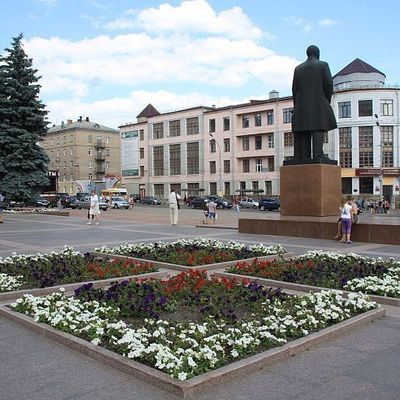 Городские власти потратят на цветы более 10 миллионов рублей - Брянск - Yansk.ru