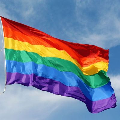 В Брянске в начале ноября может состояться первый гей-парад - Брянск - Yansk.ru
