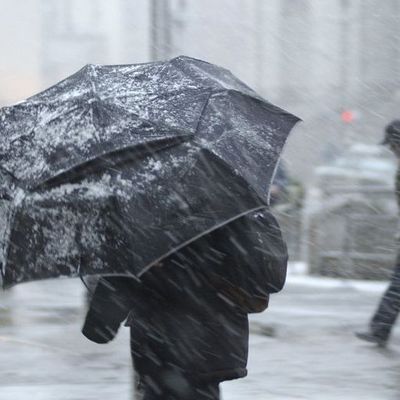 В среду в Брянске ожидается мокрый снег с дождем - Брянск - Yansk.ru