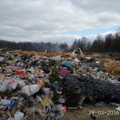 Клетнянский район Брянской области утопает в мусоре - Брянск - Yansk.ru