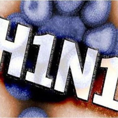 Свиным гриппом заболели уже 40 человек - Брянск - Yansk.ru