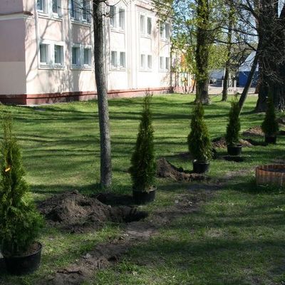 В Брянске появятся новые скверы и "Лес Победы" - Брянск - Yansk.ru