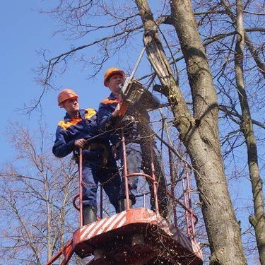 ��� ��������� ������ ��������� - ������ - Yansk.ru