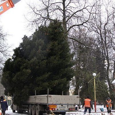 В пятницу в сквере имени Карла Маркса состоится торжественное открытие главной новогодней ёлки Брянска - Брянск - Yansk.ru