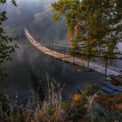 Подвесной брянский мост вошел в число красивейших мест планеты - Брянск - Yansk.ru