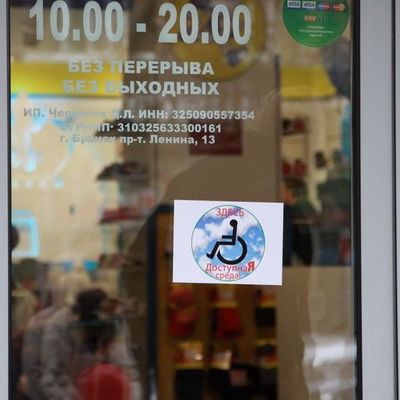 Брянск проверили на "доступную среду" - Брянск - Yansk.ru