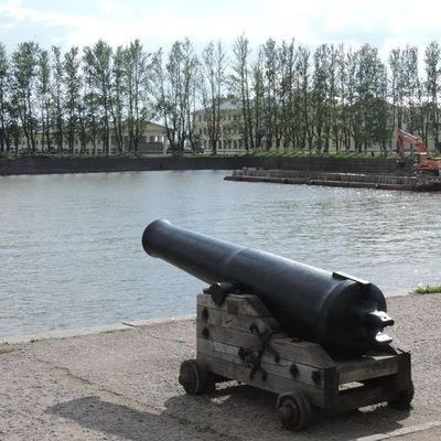 На острове в Финском заливе была обнаружена пушка времен Российской империи - Брянск - Yansk.ru