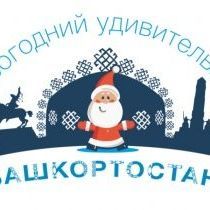 В Башкирии разработали программу для новогоднего отдыха - Брянск - Yansk.ru