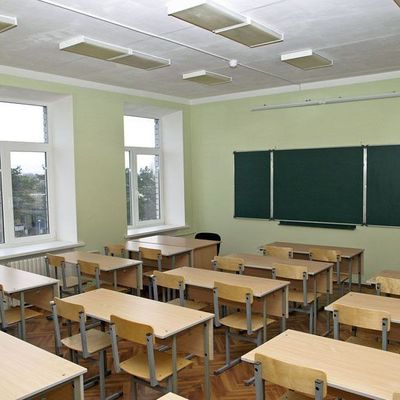 В связи с эпидемией ОРВИ и гриппа в Брянской области закрыто 30 школ - Брянск - Yansk.ru