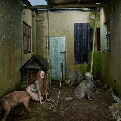 Фотопроект «дети-Маугли»: реальные истории жизни среди диких зверей - Брянск - Yansk.ru