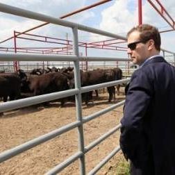 Дмитрий Медведев посетил в Трубчевском районе ферму крупного рогатого скота "Котляково" агропромышленного холдинга "Мираторг" - Брянск - Yansk.ru