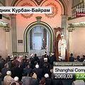        - -  - Yansk.ru