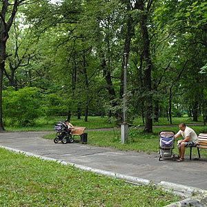 Парк имени Пушкина в Бежицком районе Брянска реконструируют в следующем году - Брянск - Yansk.ru